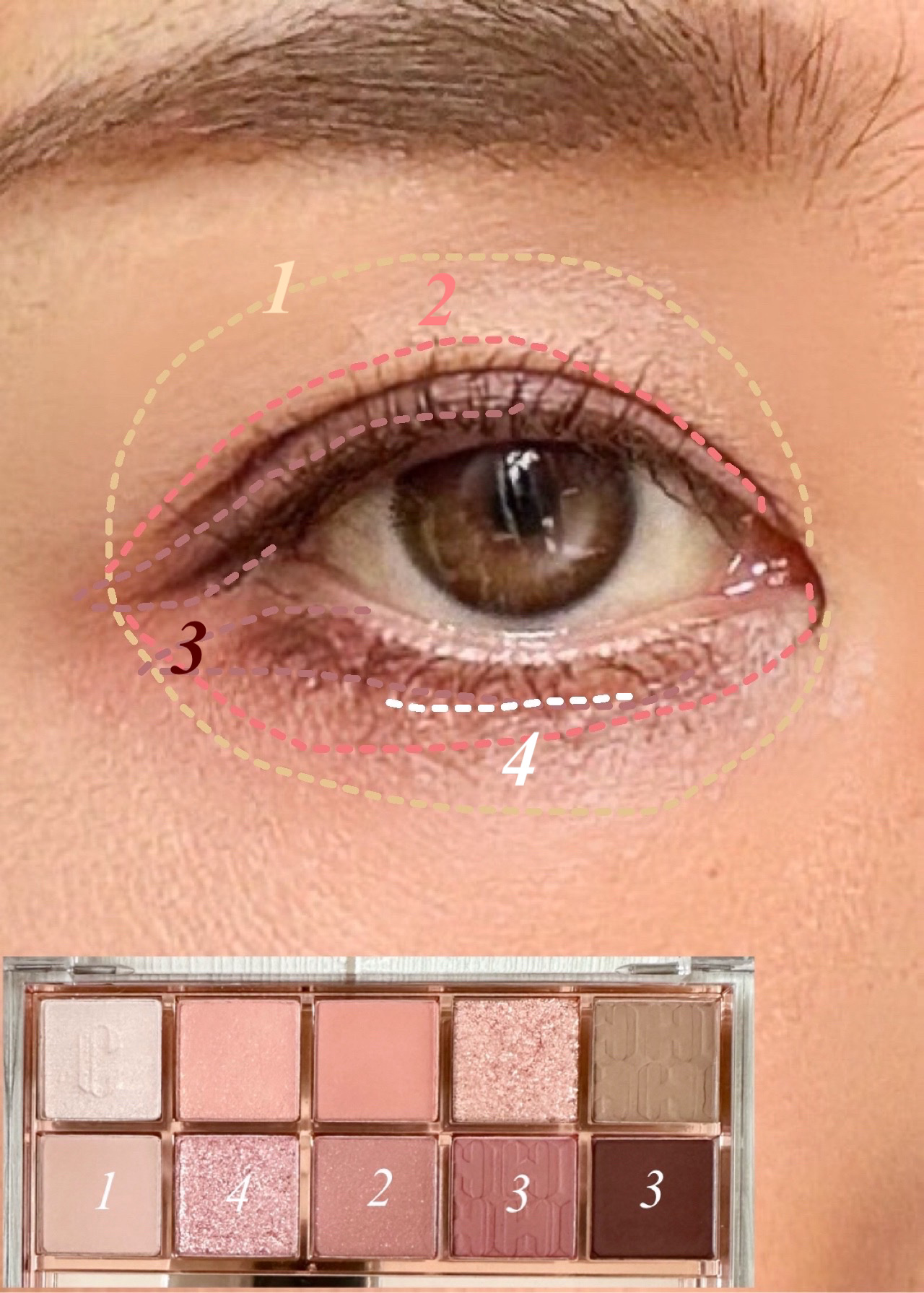 プロ アイ パレット/CLIO/アイシャドウパレットを使ったクチコミ（3枚目）