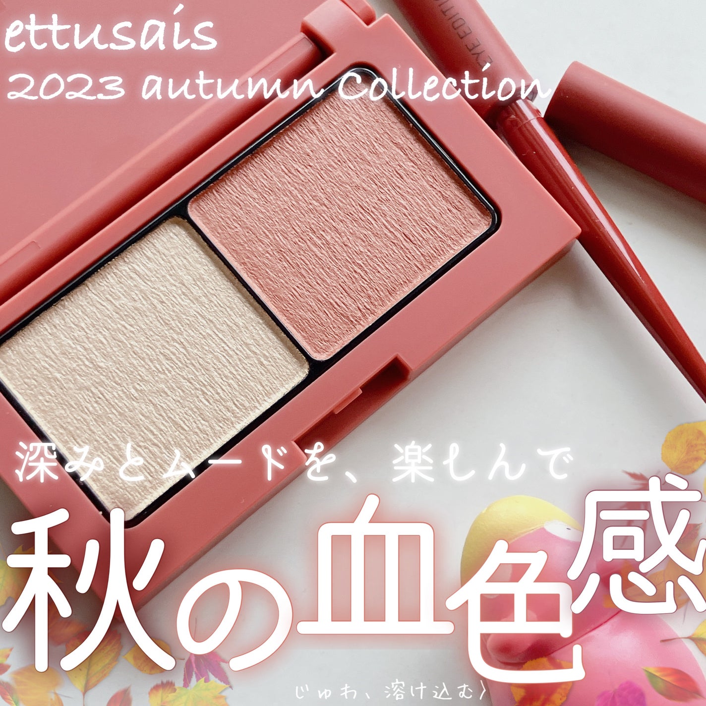 エテュセ アイエディション(カラーパレット)/ettusais/アイシャドウパレットを使ったクチコミ(1枚目)