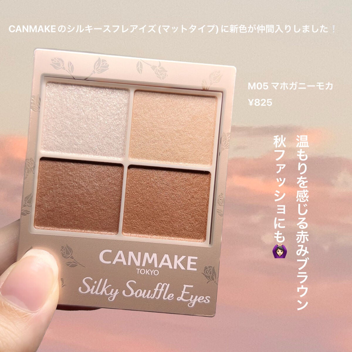 シルキースフレアイズ(マットタイプ)/キャンメイク/アイシャドウパレットを使ったクチコミ(2枚目)