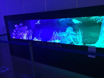 クリア マスカラR/CEZANNE/マスカラ下地を使ったクチコミ(7枚目)