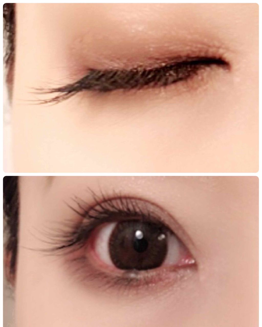 【旧】ディオールショウ マキシマイザー 3D/Dior/マスカラ下地を使ったクチコミ（1枚目）