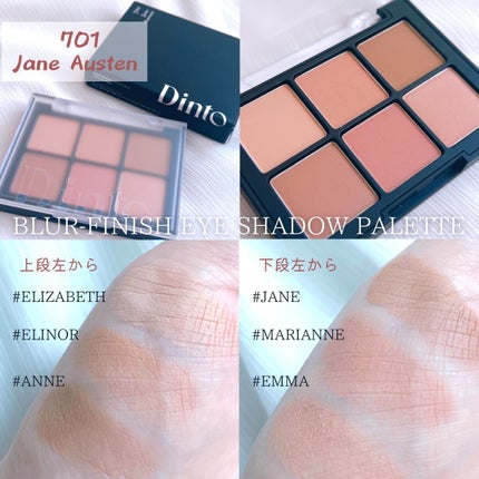 ブラーフィニシュシャドウパレット/Dinto/アイシャドウパレットを使ったクチコミ(4枚目)
