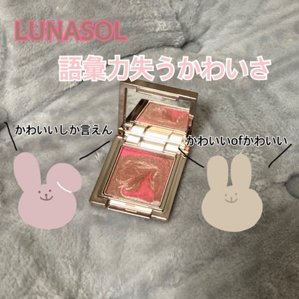 マージングカラーアイズ/LUNASOL/単色アイシャドウを使ったクチコミ(1枚目)