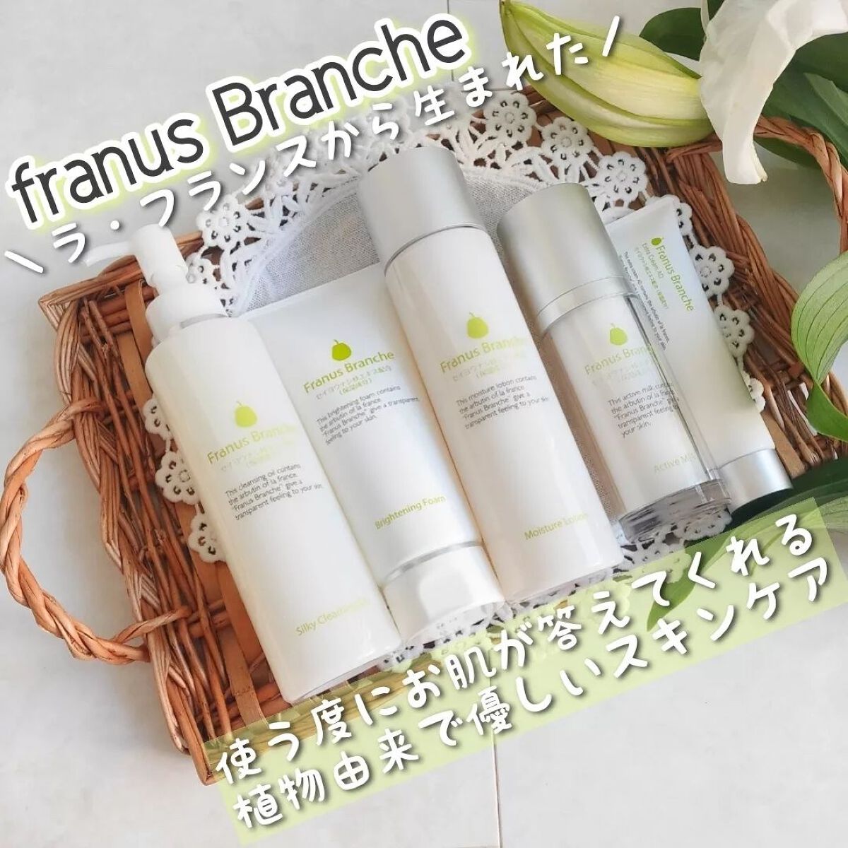 試してみた】エクストラクリーム Franus Brancheの効果・肌質別