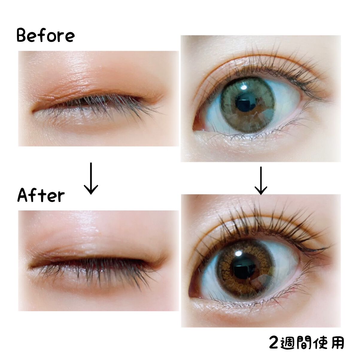 ラッシュ&ブラウン ブラックビーンセラム/keybo/まつげ美容液を使ったクチコミ(5枚目)