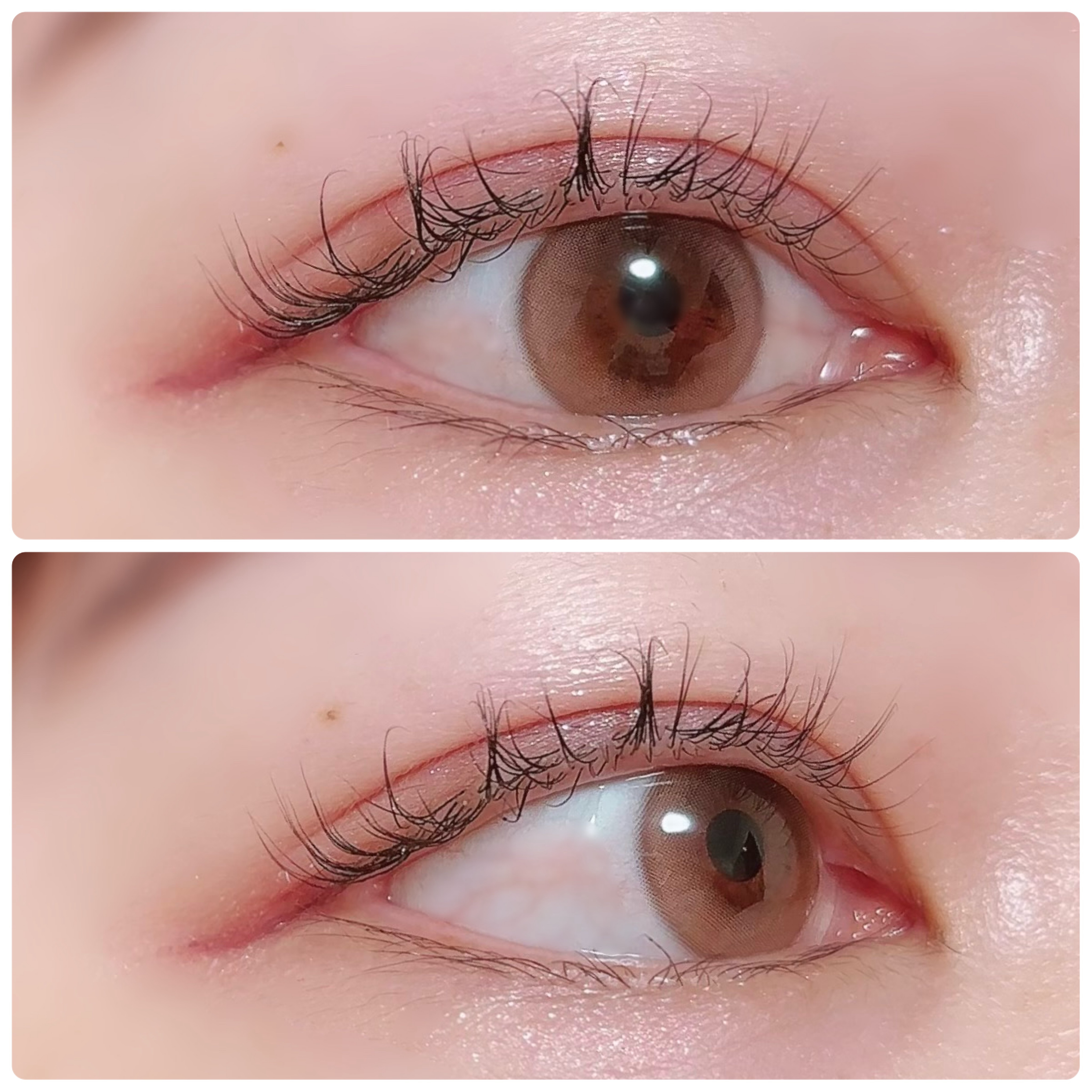 Dewy Kristin ブラウン/Hapa kristin/カラーコンタクトレンズを使ったクチコミ（3枚目）