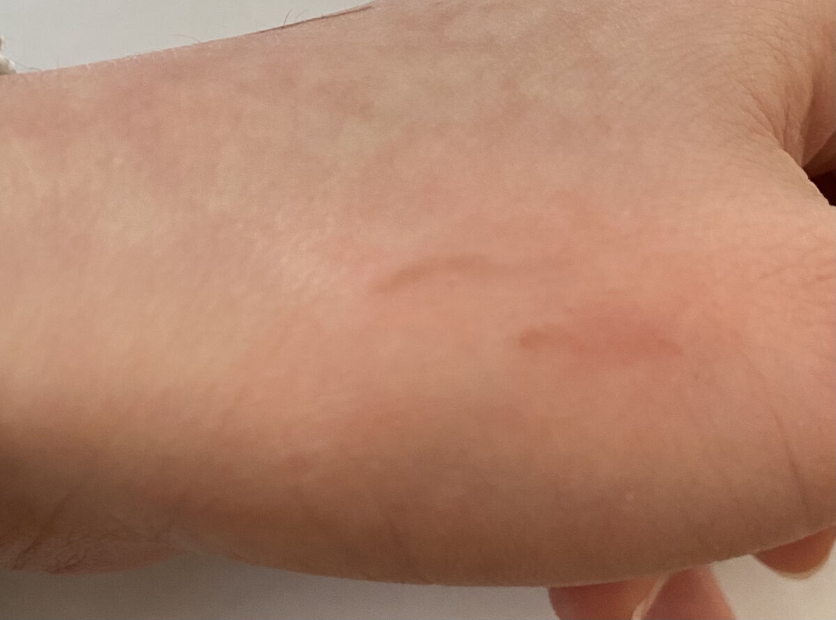 アイブロウカッペリーニスリム 02 ナチュラルブラウン/キャンメイク/アイブロウペンシルを使ったクチコミ（3枚目）