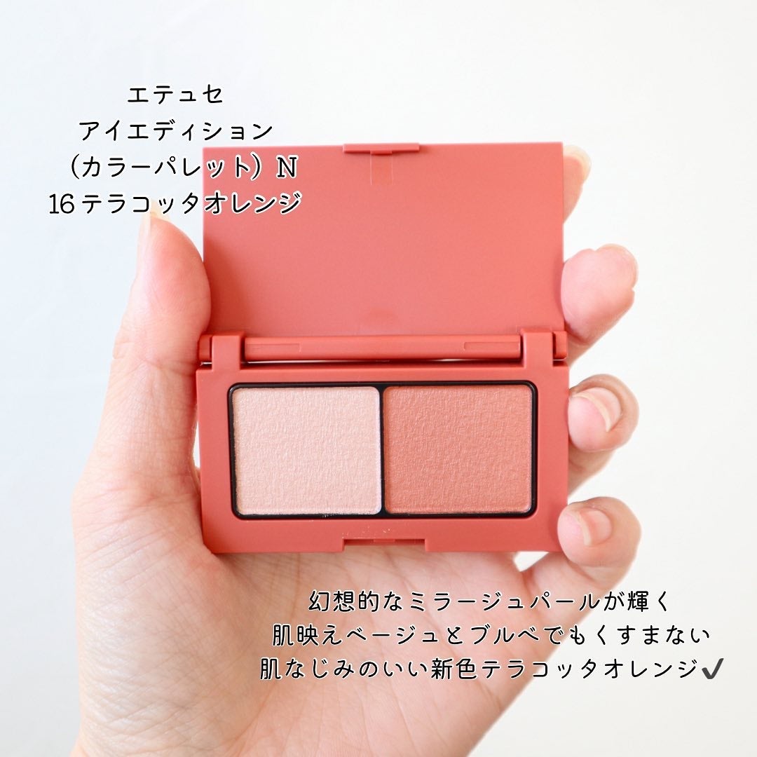 エテュセ アイエディション(カラーパレット)/ettusais/アイシャドウパレットを使ったクチコミ(2枚目)