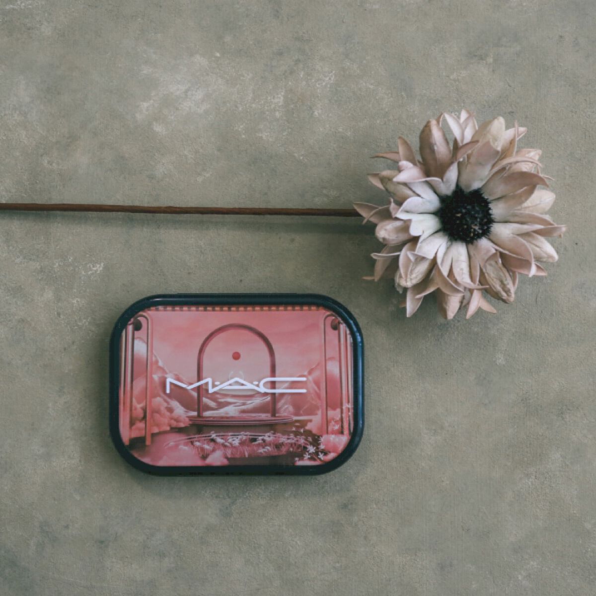 コネクト イン カラー アイシャドウ パレット × 6/M・A・C/アイシャドウパレットを使ったクチコミ（2枚目）