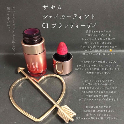 シェイカーティント/the SAEM/リップティントを使ったクチコミ(2枚目)