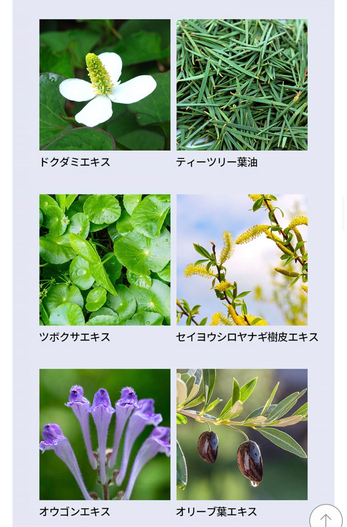 アクニドクターファーストスピーディースポット/ISOI/美容液を使ったクチコミ(5枚目)