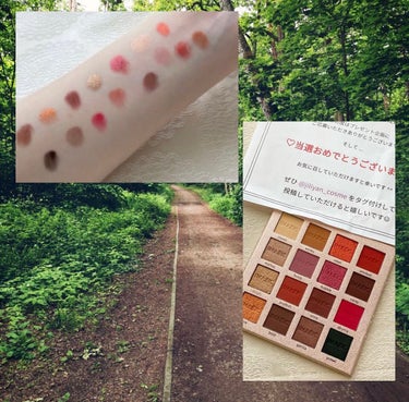 CHARM 16 COLOR EYESHADOW PALETTE オレンジ/IMAGIC/アイシャドウパレットを使ったクチコミ（1枚目）