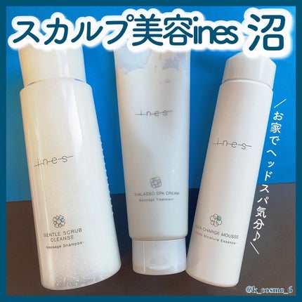 ジェントル スクラブ クレンズ/ines/市販シャンプーを使ったクチコミ(1枚目)