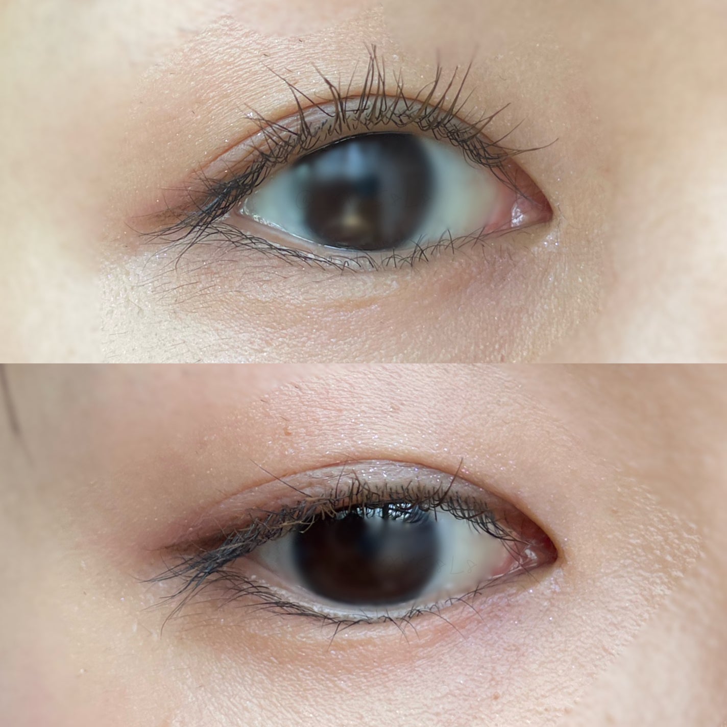 アイカラーレーション/LUNASOL/アイシャドウパレットを使ったクチコミ(2枚目)