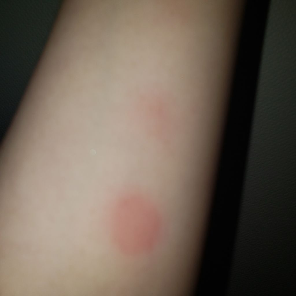 クリーム・デ・チーク/マジョリカ マジョルカ/ジェル・クリームチークを使ったクチコミ（3枚目）