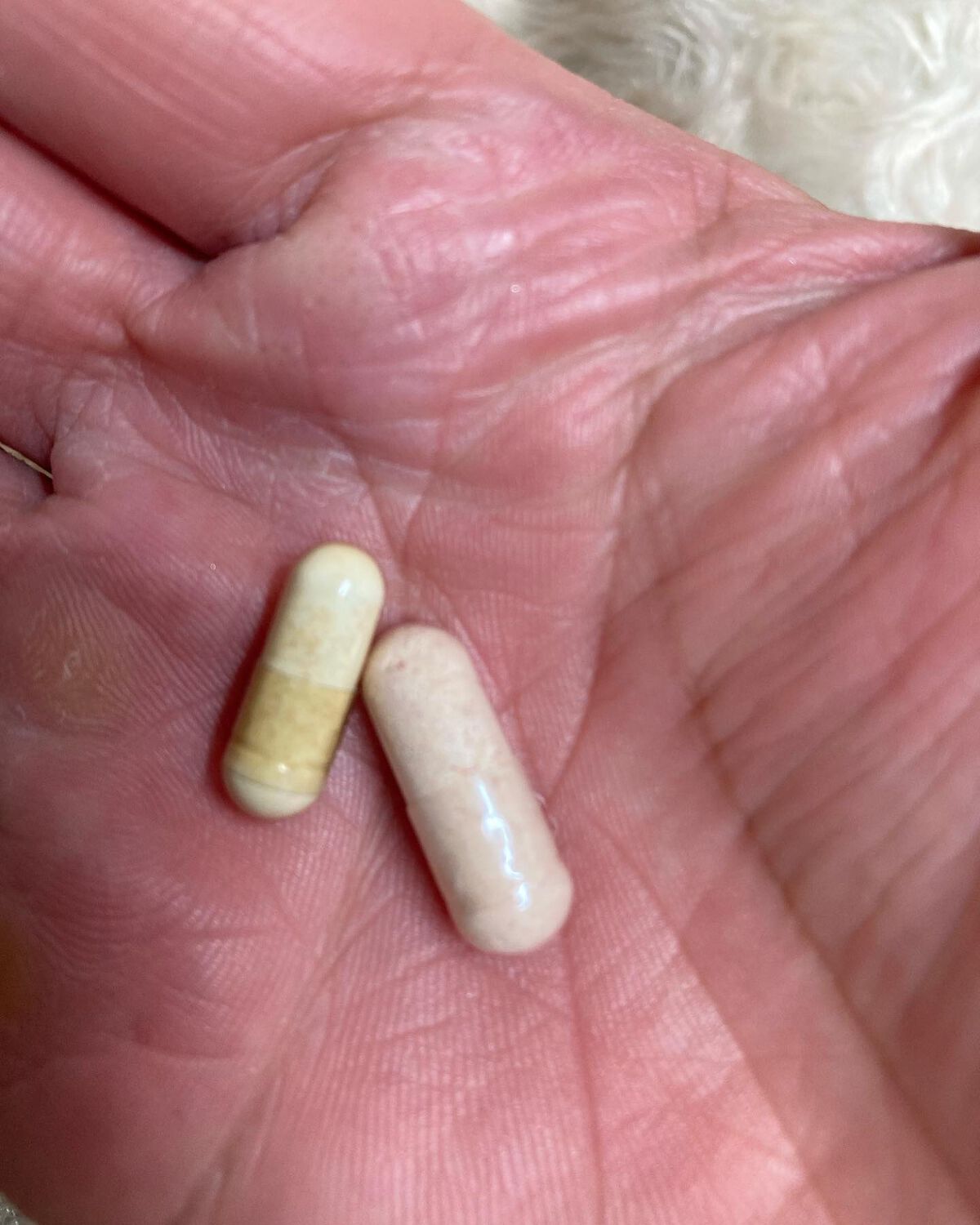 ちゃんぶぅ 投稿ある方フォロバ💕ちょっと遅くなるけど on LIPS 「ナウフーズ プロバイオティクス250億1日1カプセル 100粒..」(3枚目)