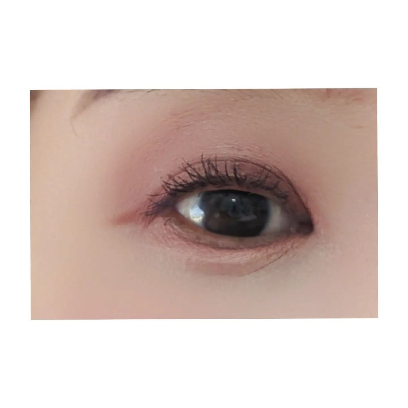 シグニチャー カラー アイズ/SUQQU/アイシャドウパレットを使ったクチコミ(4枚目)