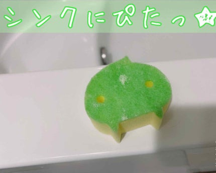 食器用スポンジ/DAISO/その他を使ったクチコミ(1枚目)
