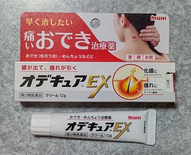 ドルマイシン軟膏(医薬品)/ゼリア新薬工業/その他を使ったクチコミ（1枚目）