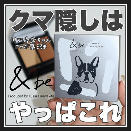&be ファンシーラー/&be/パレットコンシーラーを使ったクチコミ(1枚目)