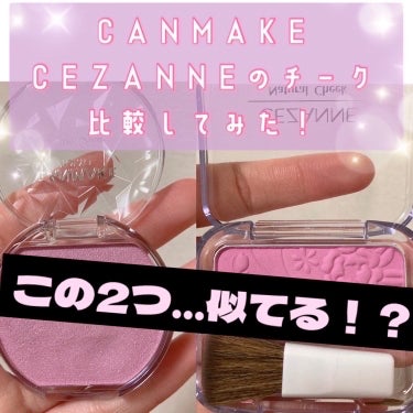 ベージュトーンアイシャドウ/CEZANNE/アイシャドウパレットを使ったクチコミ（1枚目）