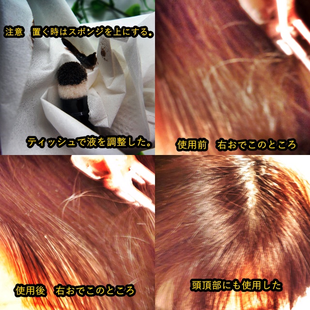 ウルトラキープヘアティント ダークブラウン/メイクプロポーション/ヘアカラーを使ったクチコミ（3枚目）