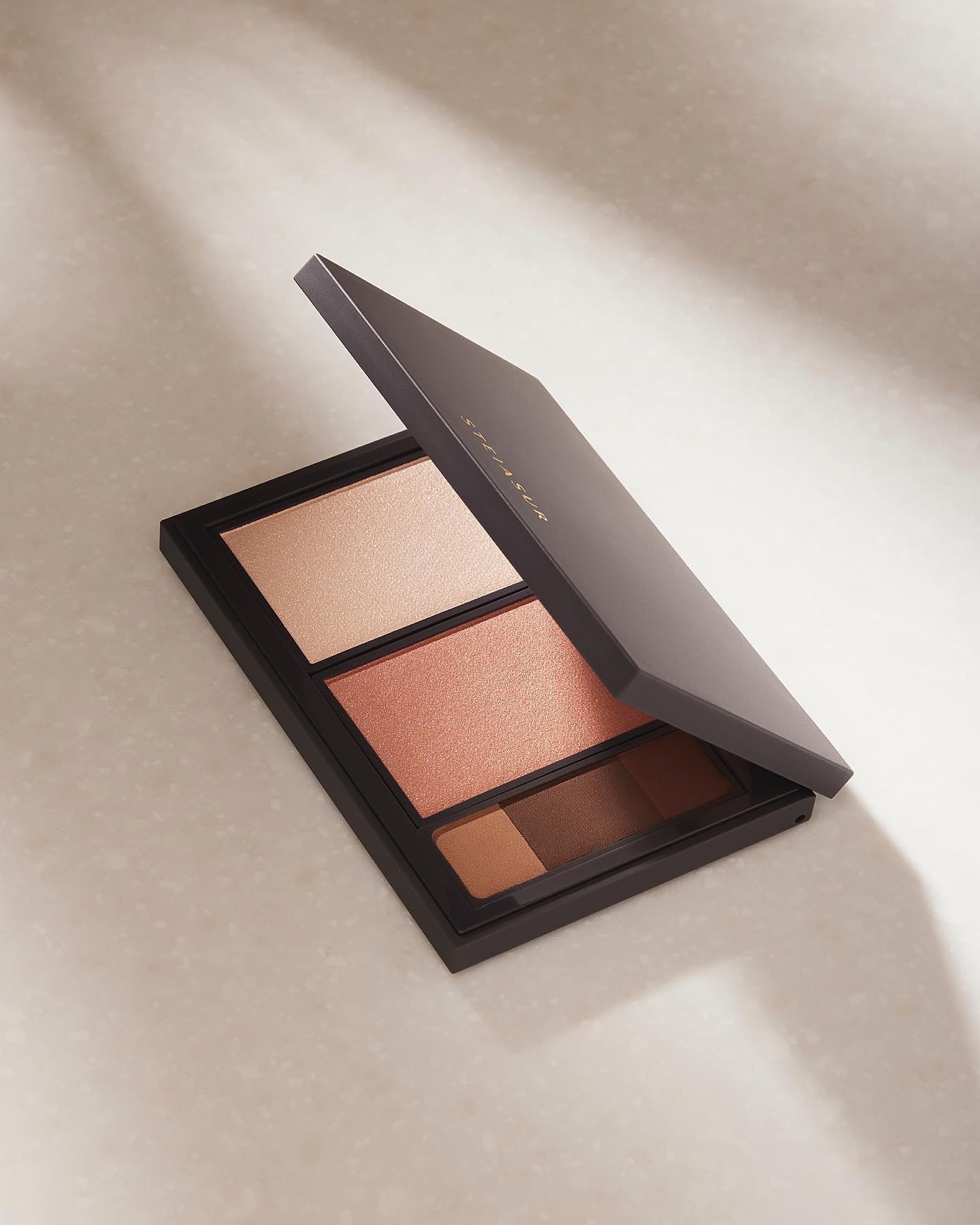 フィット my カラーパレット/STEIASUR（ステイアシュール）/マルチパレットを使ったクチコミ（2枚目）