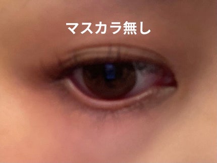 「塗るつけまつげ」自まつげ際立てタイプ/デジャヴュ/マスカラを使ったクチコミ(3枚目)