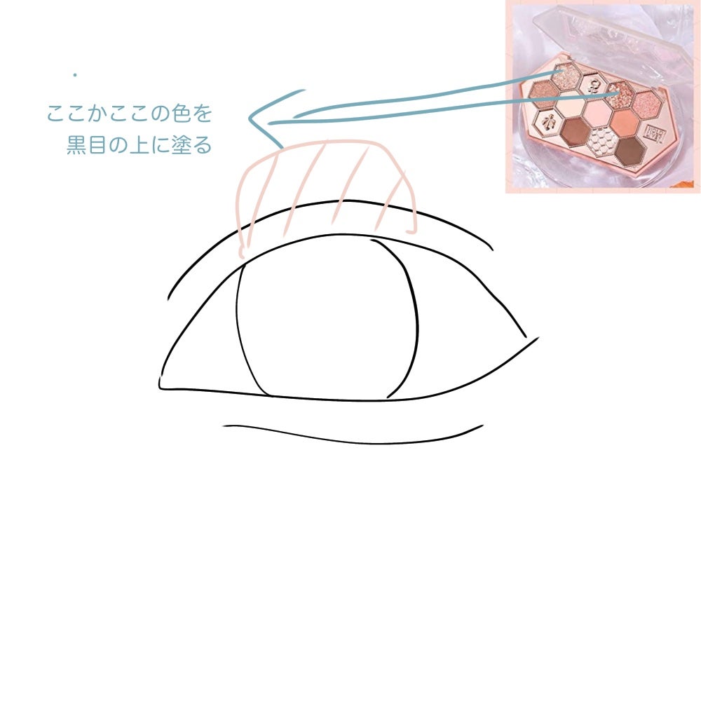にこ(^-^)ちゃん on LIPS 「HOLDの蜂の巣アイシャドウのメイク順番私のしているアイシャド..」(7枚目)