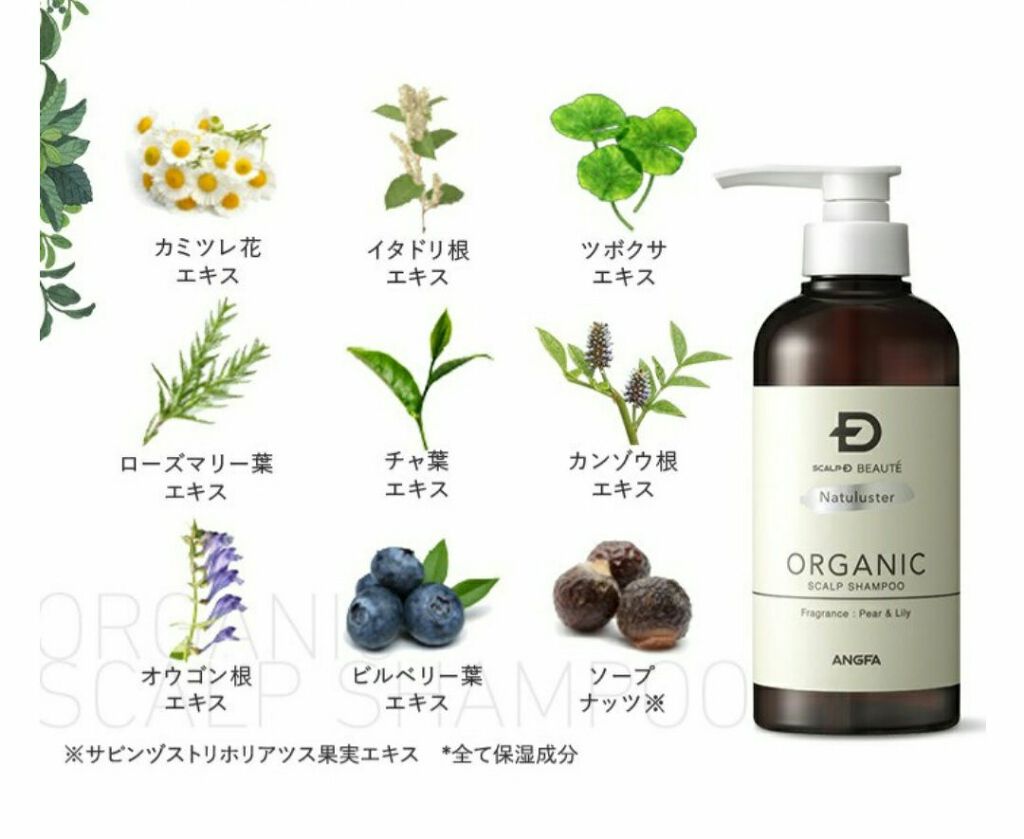 スカルプD ボーテ ナチュラスター スカルプシャンプー/トリートメントパック/アンファー(スカルプD)/シャンプー・コンディショナーを使ったクチコミ(3枚目)