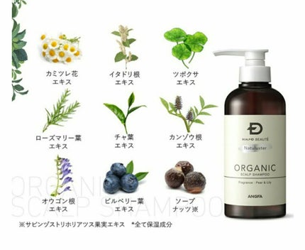 スカルプD ボーテ ナチュラスター スカルプシャンプー/トリートメントパック/アンファー(スカルプD)/シャンプー・コンディショナーを使ったクチコミ(3枚目)