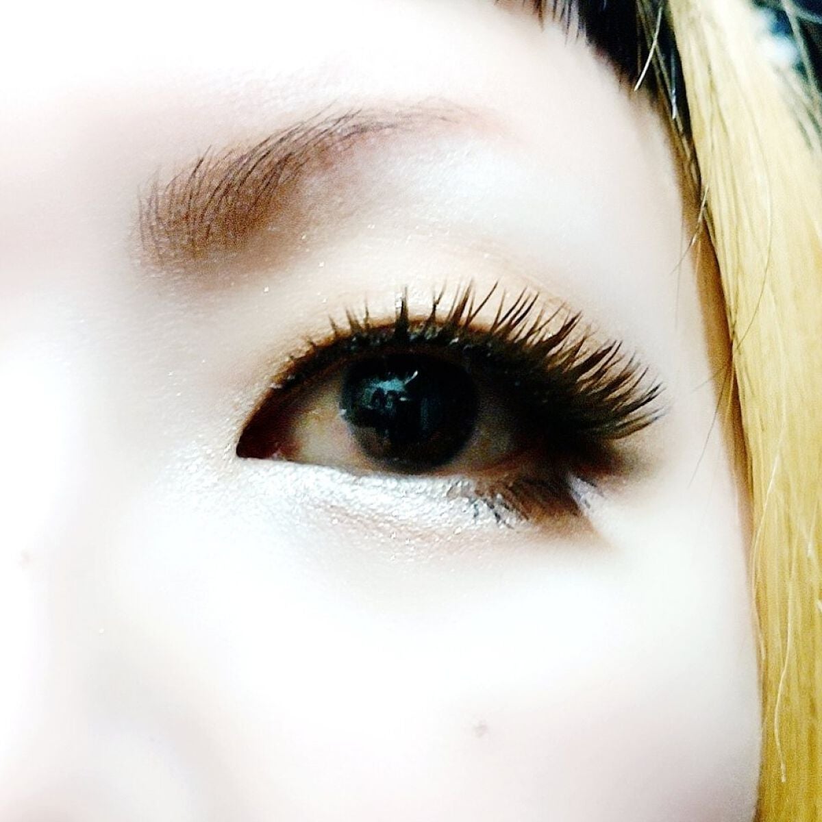 プロ アイ パレット/CLIO/アイシャドウパレットを使ったクチコミ(7枚目)