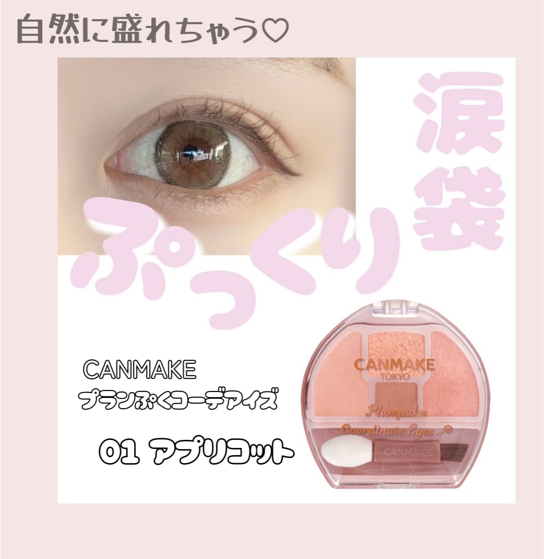 \\ 大人でも使いやすい❤️ //

キャンメイク
プランぷくコーデアイズ
01 アプリコットプランぷく
¥792

⟡.·*.··············································⟡.·*.

マット