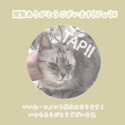 UVイデア XL プロテクショントーンアップ ローズ/ラ ロッシュ ポゼ/日焼け止めクリームを使ったクチコミ(6枚目)