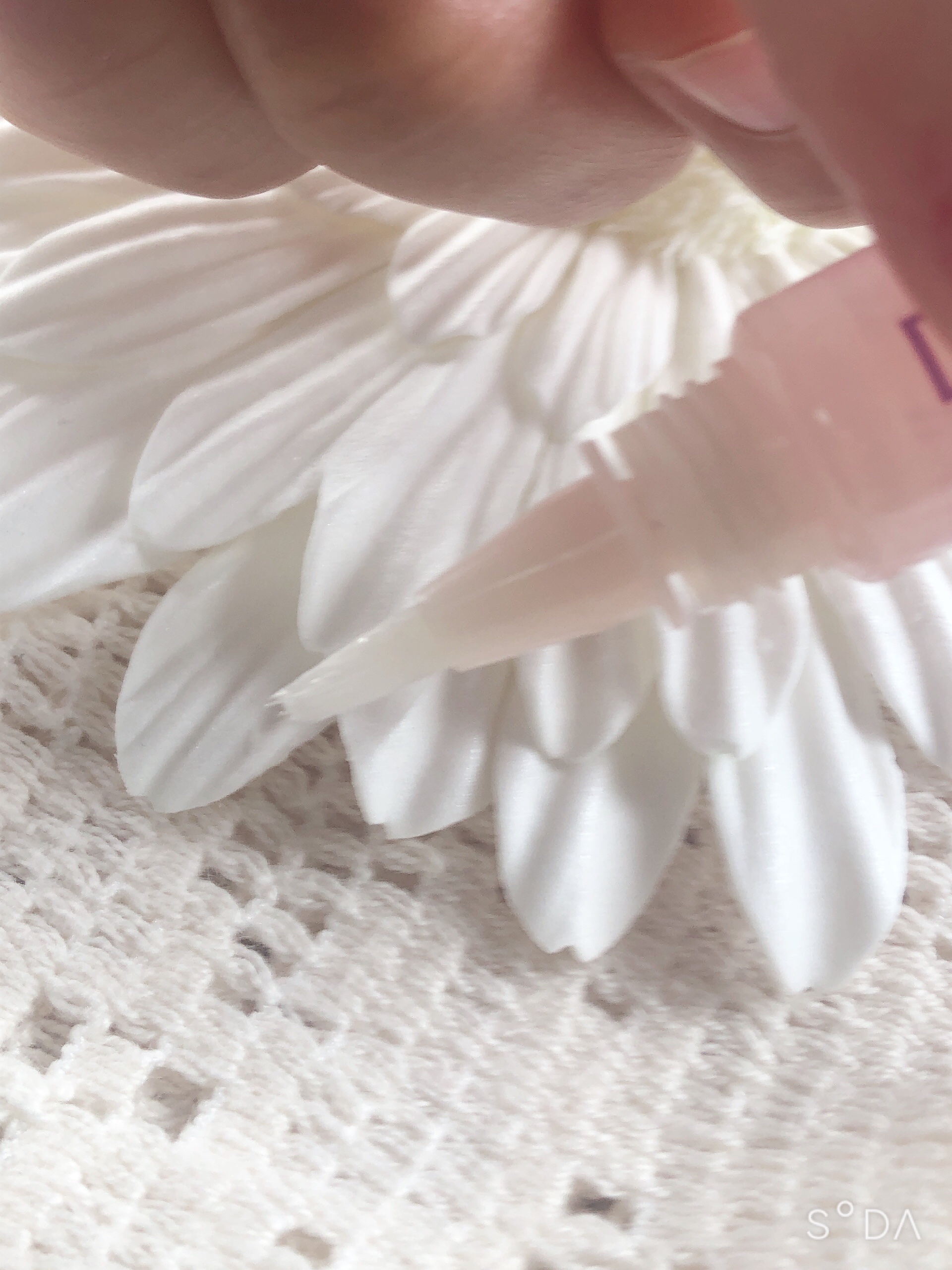 ネイルオイルセラム L/デュカート/ネイルオイル・トリートメントを使ったクチコミ（3枚目）