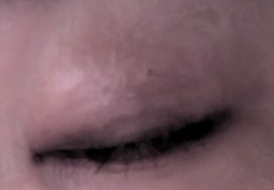 ニュアンス デューイ クリエイター/Visée/アイシャドウパレットを使ったクチコミ（3枚目）