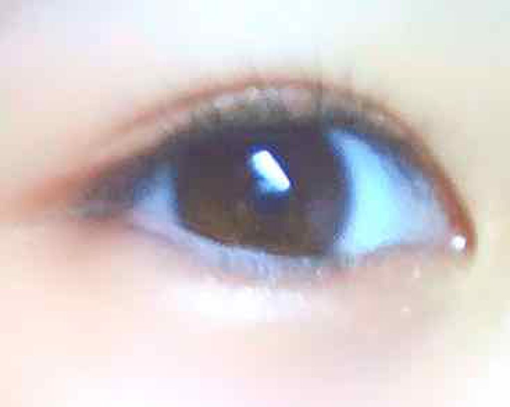 「塗るつけまつげ」自まつげ際立てタイプ/デジャヴュ/マスカラを使ったクチコミ(4枚目)