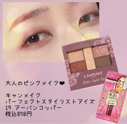 【旧品】パーフェクトスタイリストアイズ/キャンメイク/アイシャドウパレットを使ったクチコミ(1枚目)