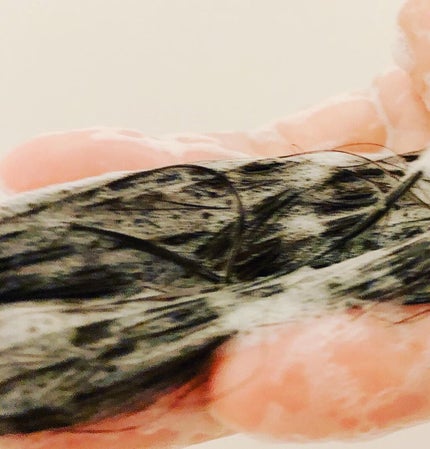 モイストシャンプー/TASQUA/市販シャンプーを使ったクチコミ(5枚目)