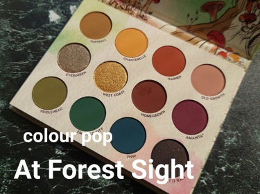 At Forest Sight/ColourPop/パウダーアイシャドウを使ったクチコミ（1枚目）