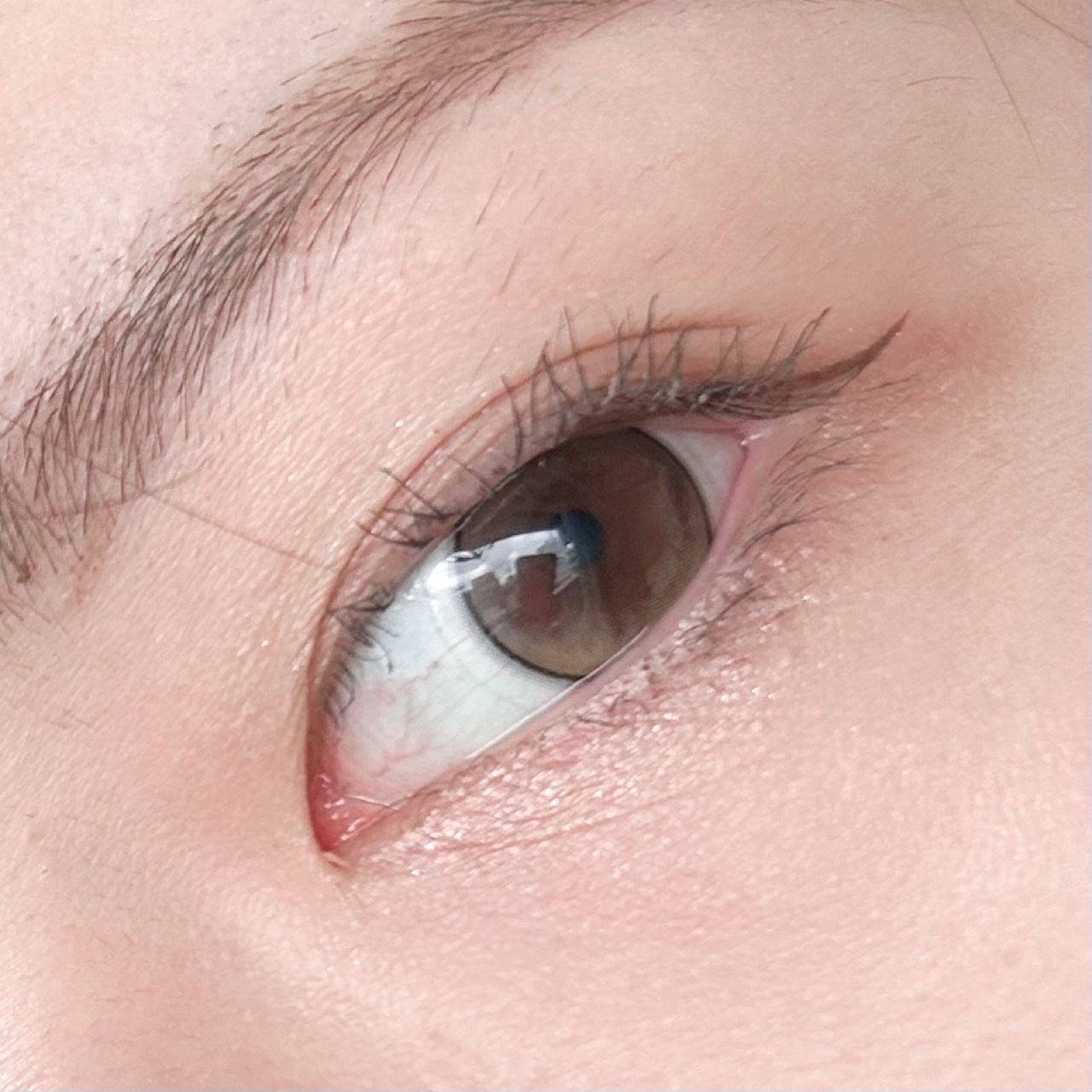 ケイト ポッピングシルエットシャドウ/KATE/アイシャドウパレットを使ったクチコミ（2枚目）