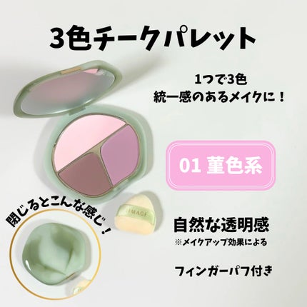 TIMAGE 3色チークパレット/TIMAGE/パウダーチークを使ったクチコミ(2枚目)