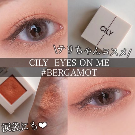 アイズオンミー/CILY/単色アイシャドウを使ったクチコミ(1枚目)