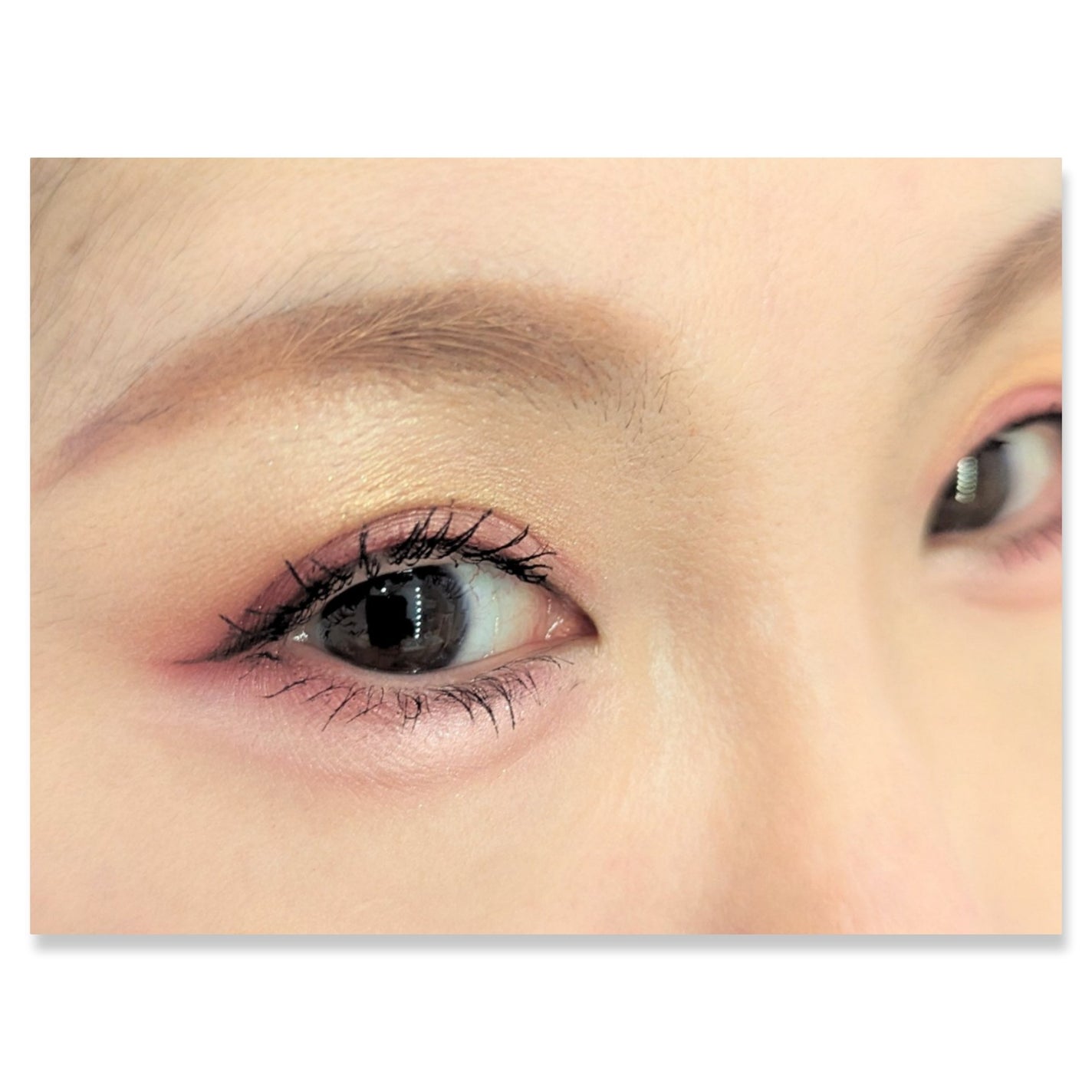 フェイスカラーパレット/チャコット・コスメティクス/アイシャドウパレットを使ったクチコミ(2枚目)