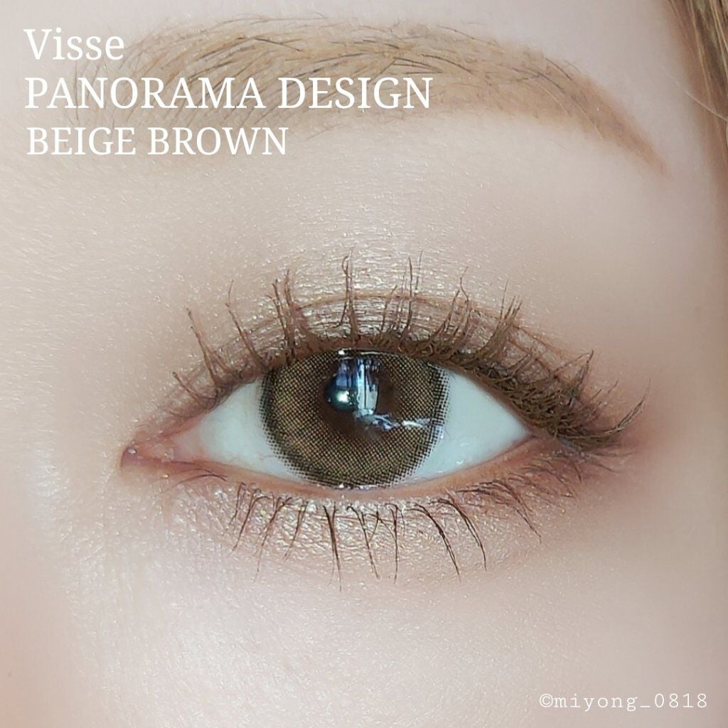 パノラマデザイン アイパレット/Visée/アイシャドウパレットを使ったクチコミ(6枚目)