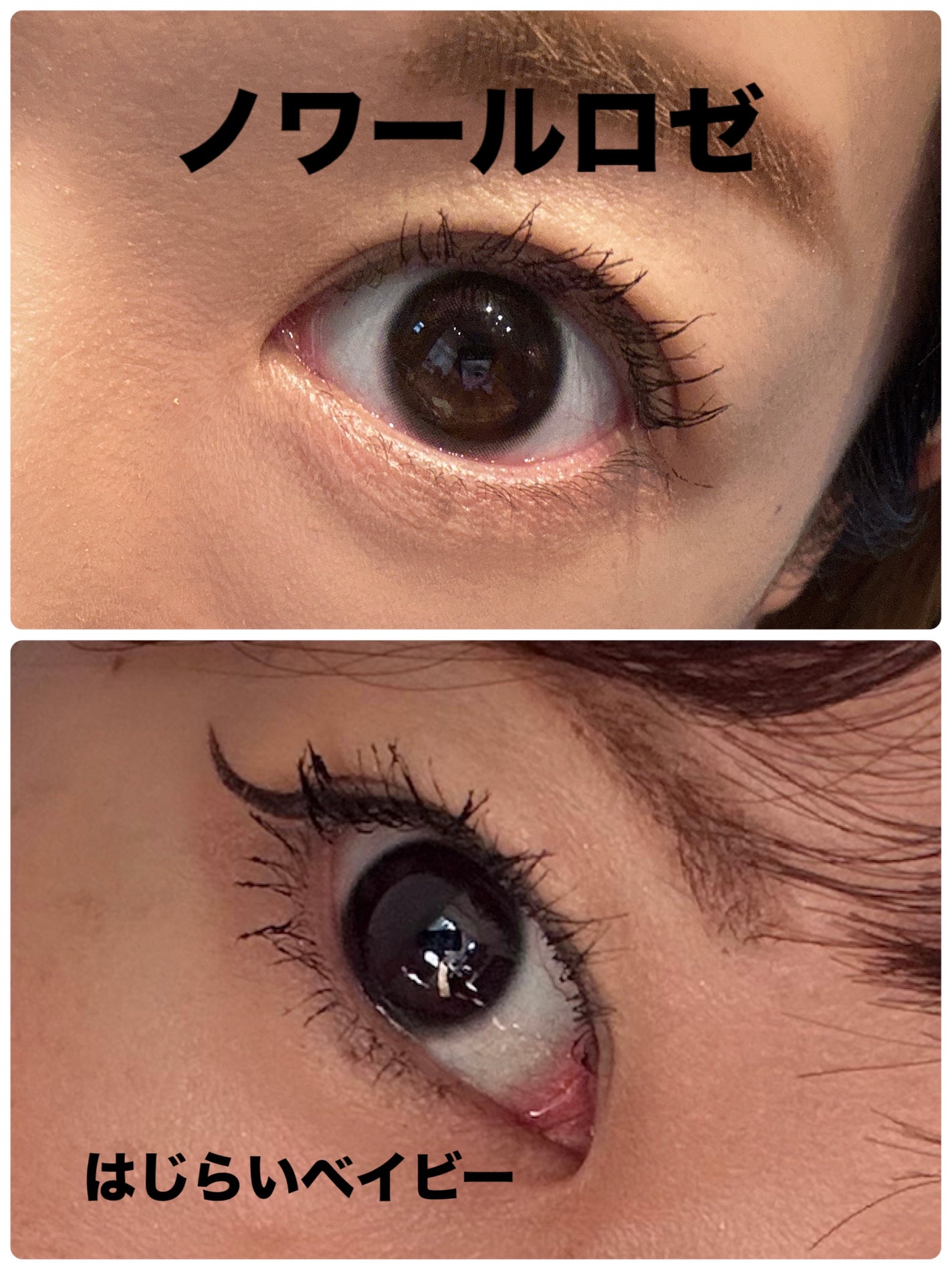 BELLSiQUE 1day/ベルシーク/ワンデー(1DAY)カラコンを使ったクチコミ(3枚目)