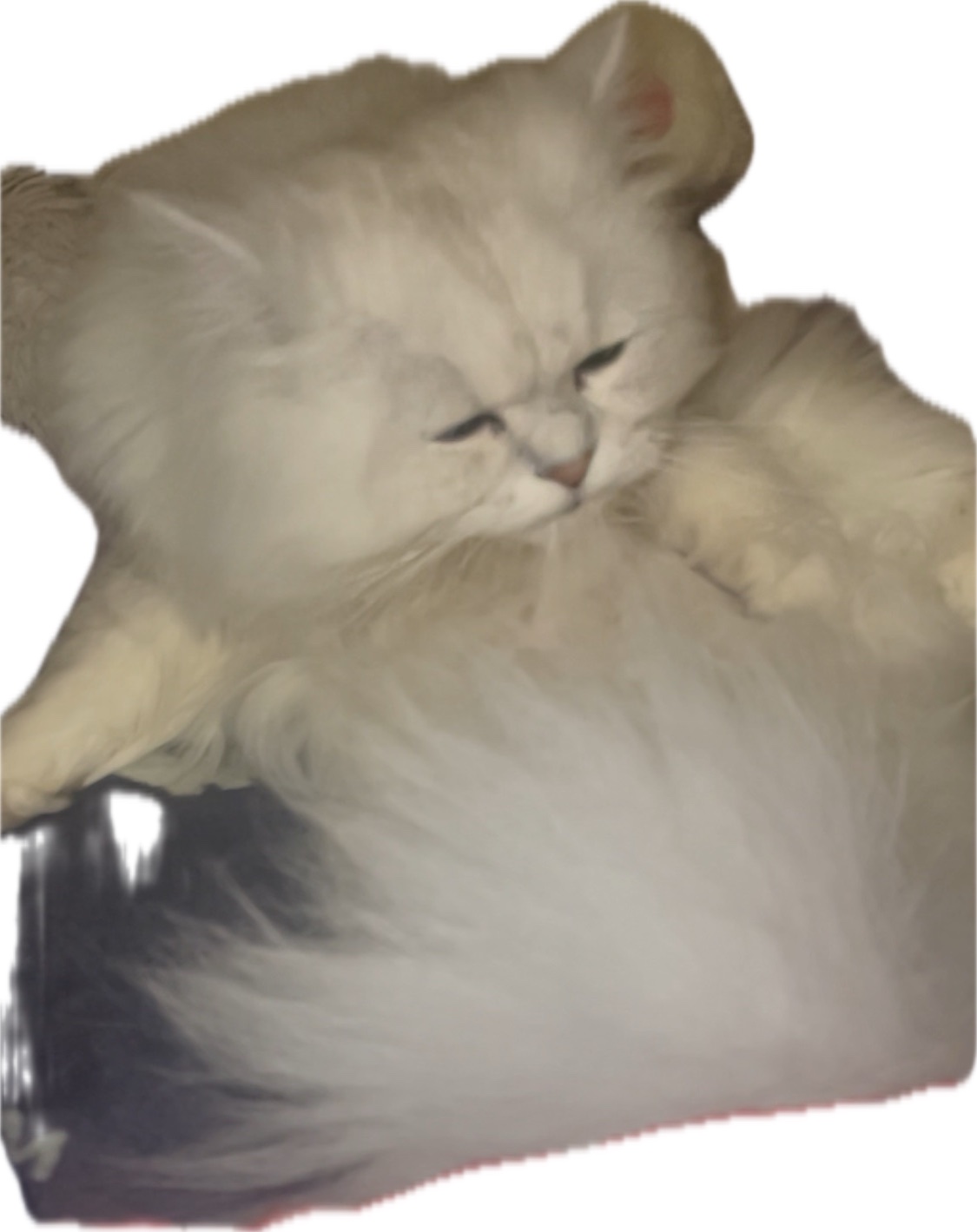 ルビーマジック オールインワン ゼロ/オルクス/オールインワン化粧品を使ったクチコミ（1枚目）