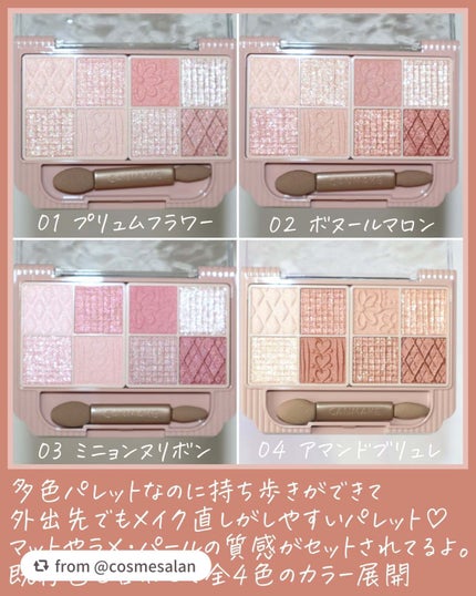 プティパレットアイズ/キャンメイク/パウダーアイシャドウを使ったクチコミ(7枚目)