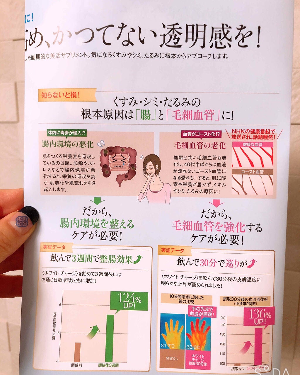 シエスタ on LIPS 「@コスメのプレゼント当選品になります。君島十和子さんプロデュー..」(3枚目)