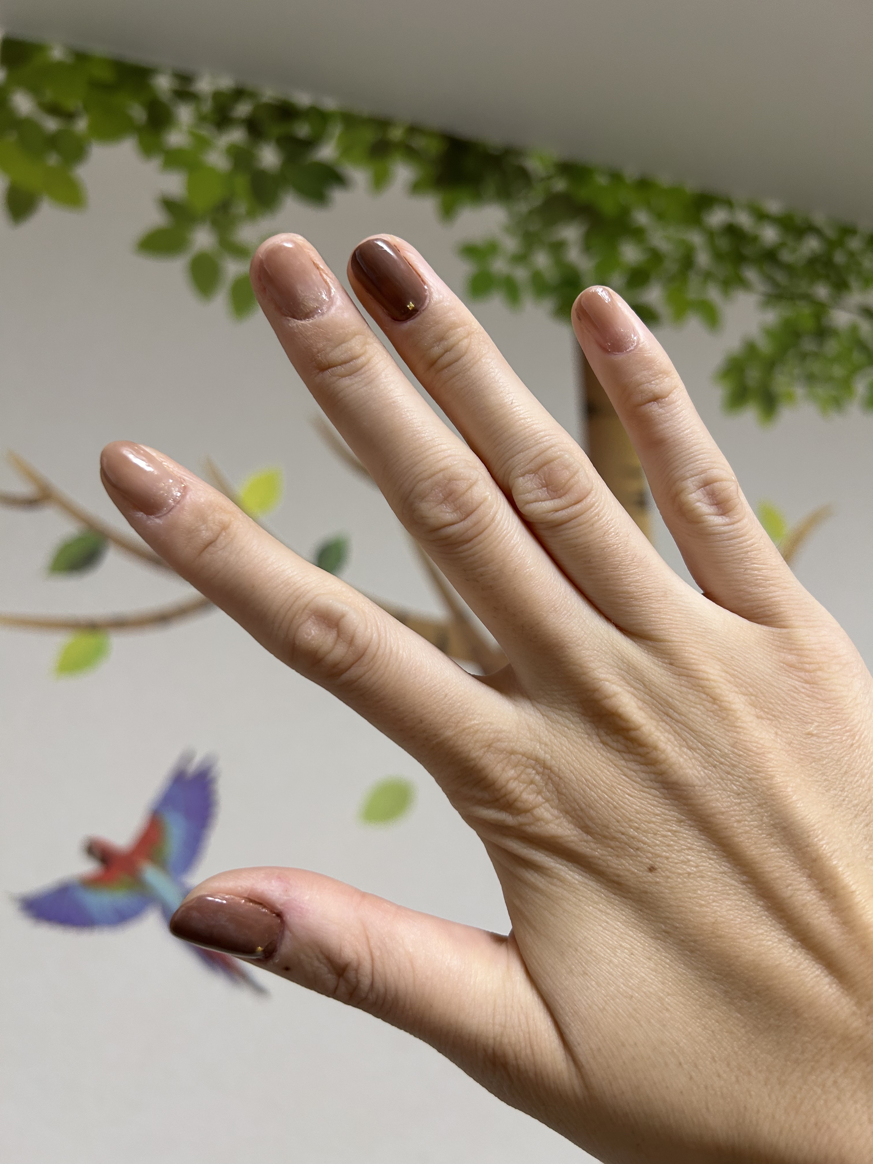 カラフルネイルズ/キャンメイク/マニキュアを使ったクチコミ（3枚目）